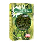 CZOSNEK NIEDŹWIEDZI  25 G. - DARY NATURY