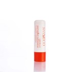 POMADKA ROKITNIKOWA 4.4 G - SYLVECO