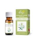 OLEJEK EUKALIPTUS CYTRYNOWY 10 ML. - ETJA