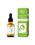 OLEJEK EUKALIPTUSOWY DUŻY 30 ML. - ETJA