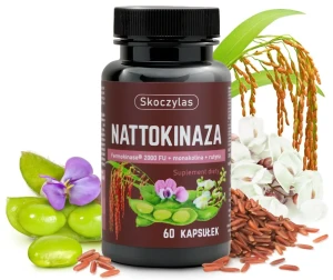 NATTOKINAZA FERMOKINASE® 2000 FU +MONOAKOLINA + RUTYNA 60 KAPS.- SKOCZYLAS